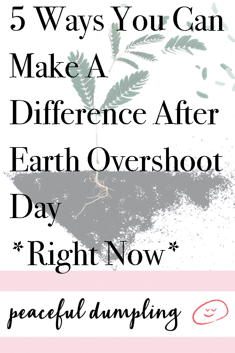 5 Ways You Can Make A Difference After Earth Overshoot Day *Right Now*