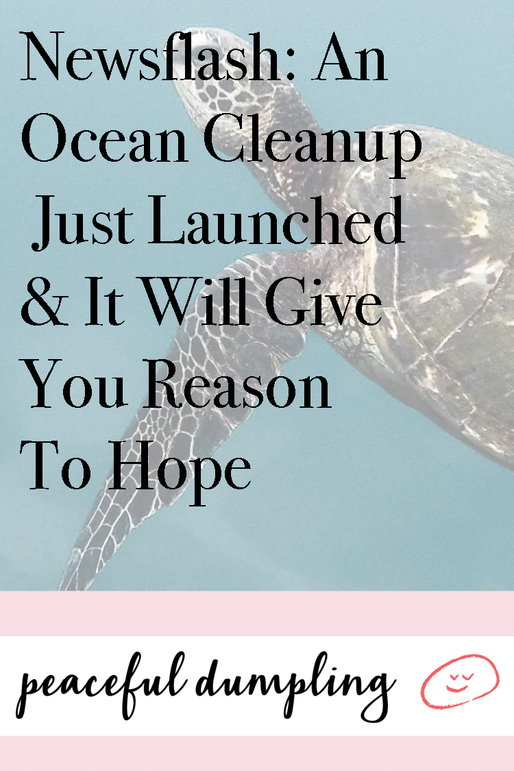 Newsflash: An Ocean Cleanup Just Launched & It Will Give You Reason To Hope