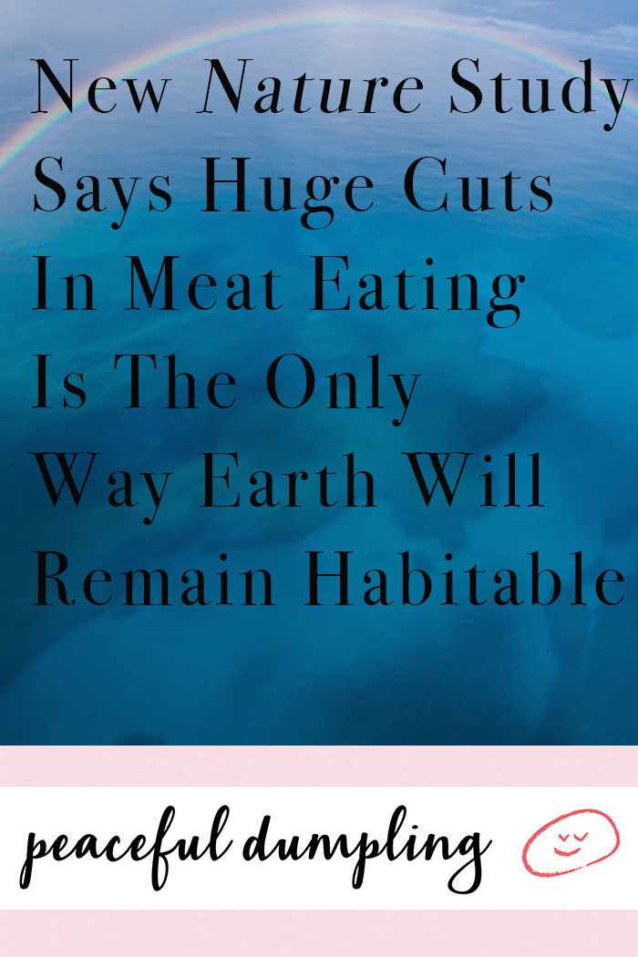 Earth Will Collapse If We Don't Drastically Reduce Meat Consumption, Says Nature