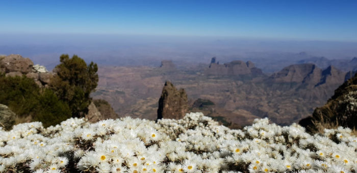 Landscape of the Simien Mountains in Ethiopia, a World Heritage Site