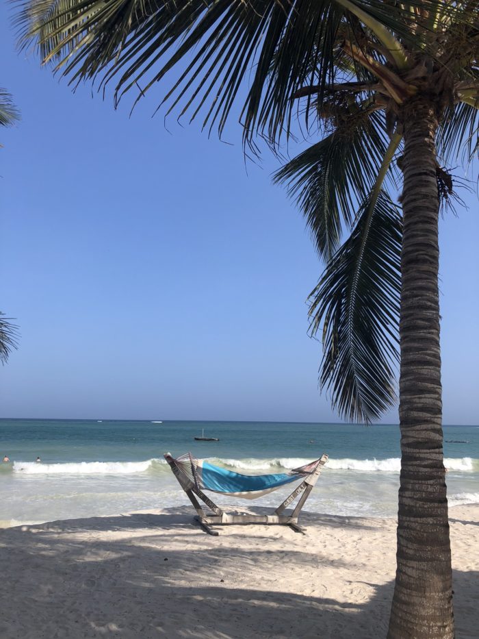 Palm trees beautiful seas and blue skies in Diani beach Kenya