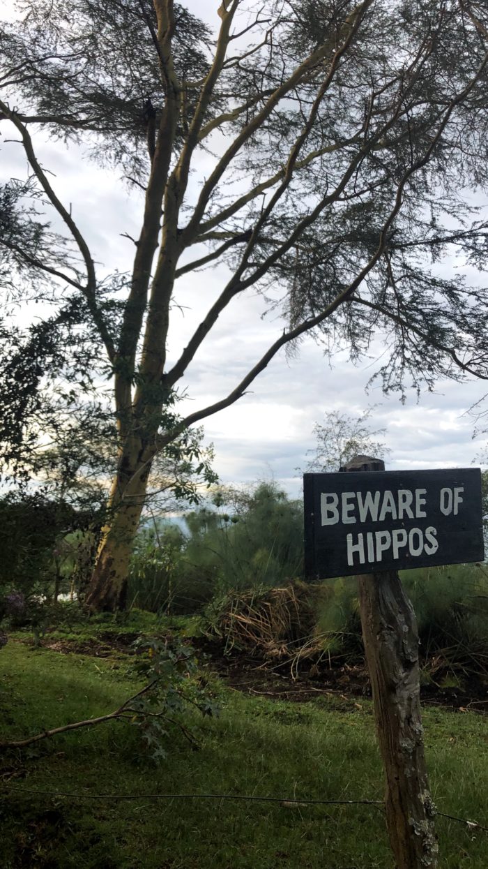 Lake Navaisha Kenya Beware of Hippos