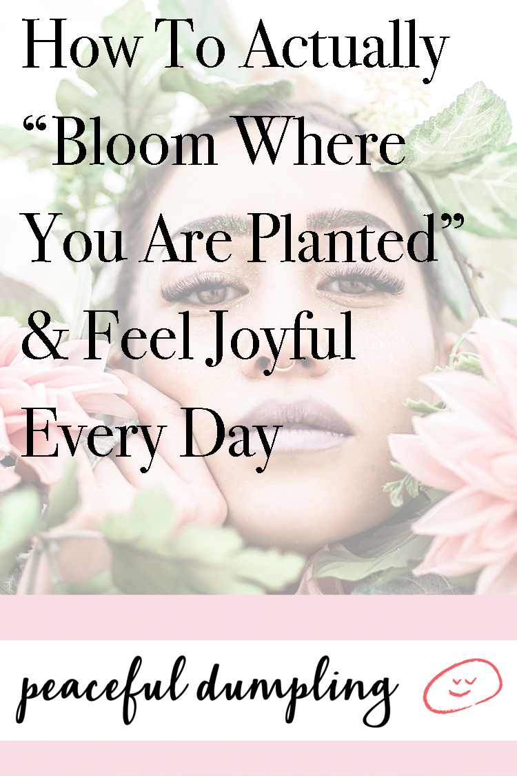 How To Actually “Bloom Where You Are Planted” & Feel Joyful Every Day