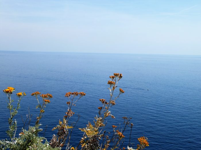 best-beach-trip-in-cinque-terre-italy