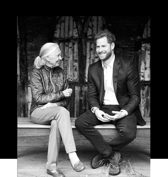 Prince Harry & Jane Goodall