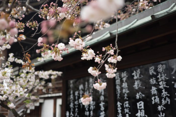 Japanese temple