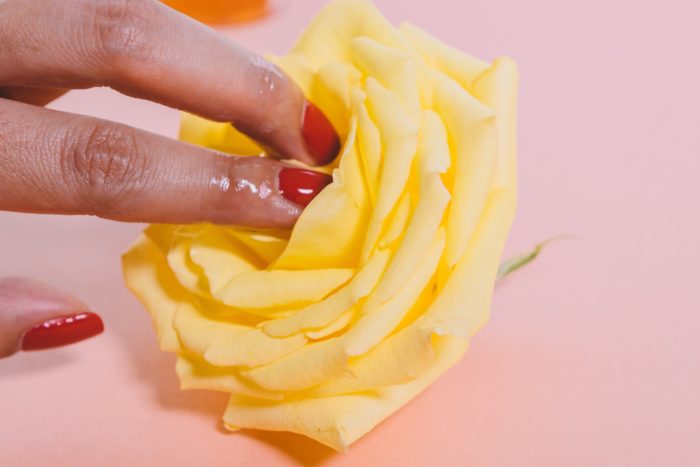 hand touching a rose