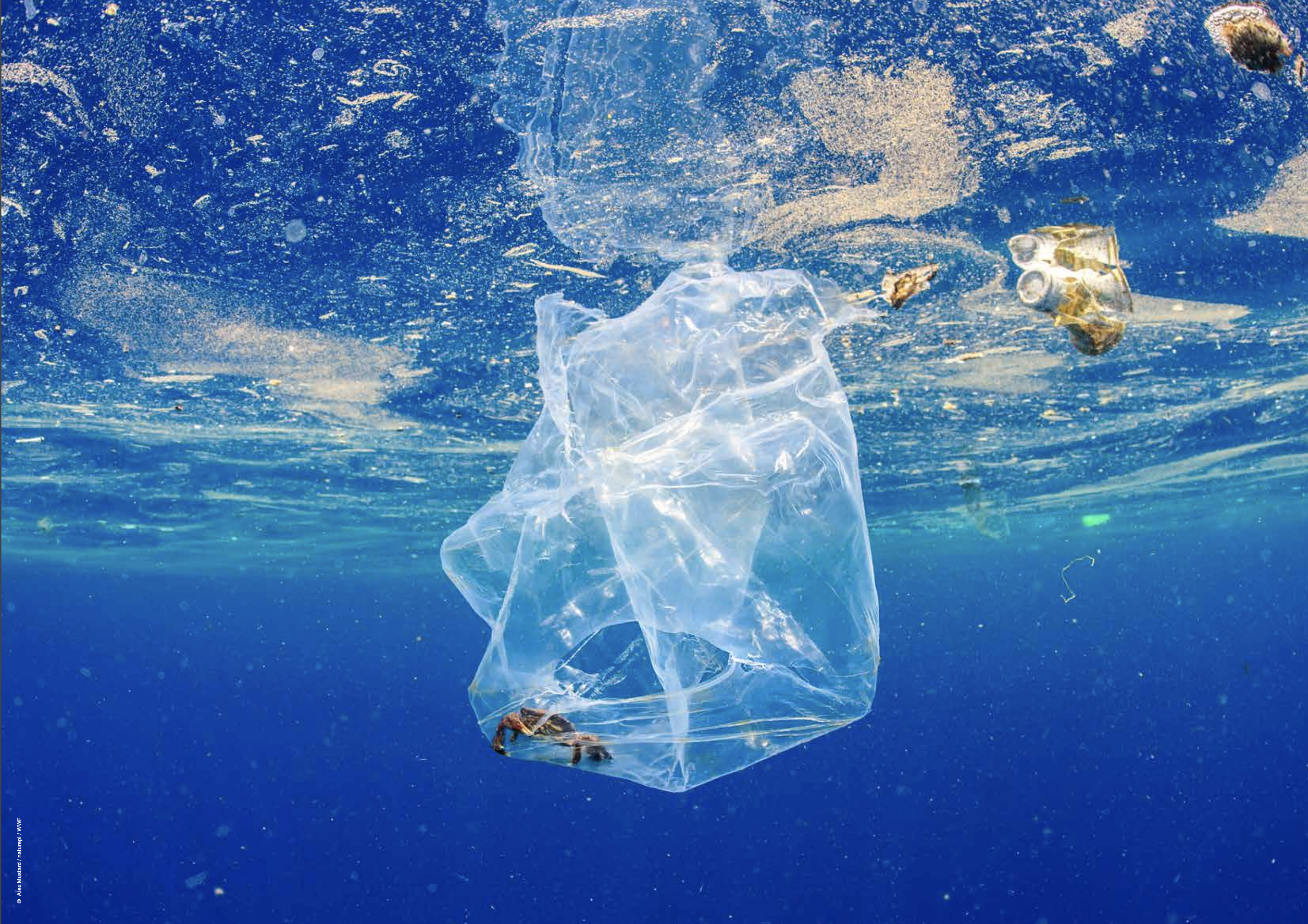 Plastic waste in ocean
