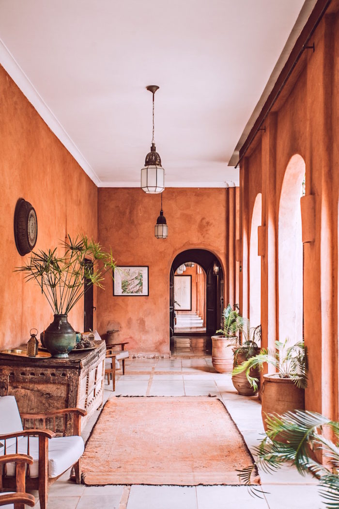 Indoor plants in Morocco