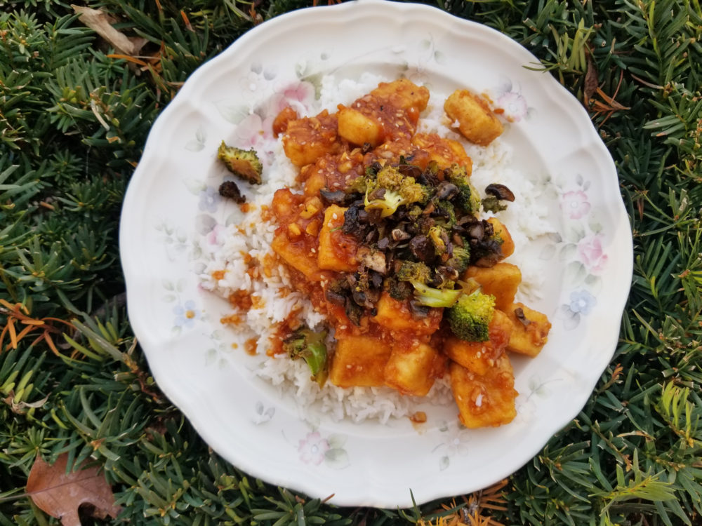 Korean BBQ Tofu on rice