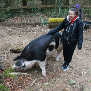 Lindsay and a pig