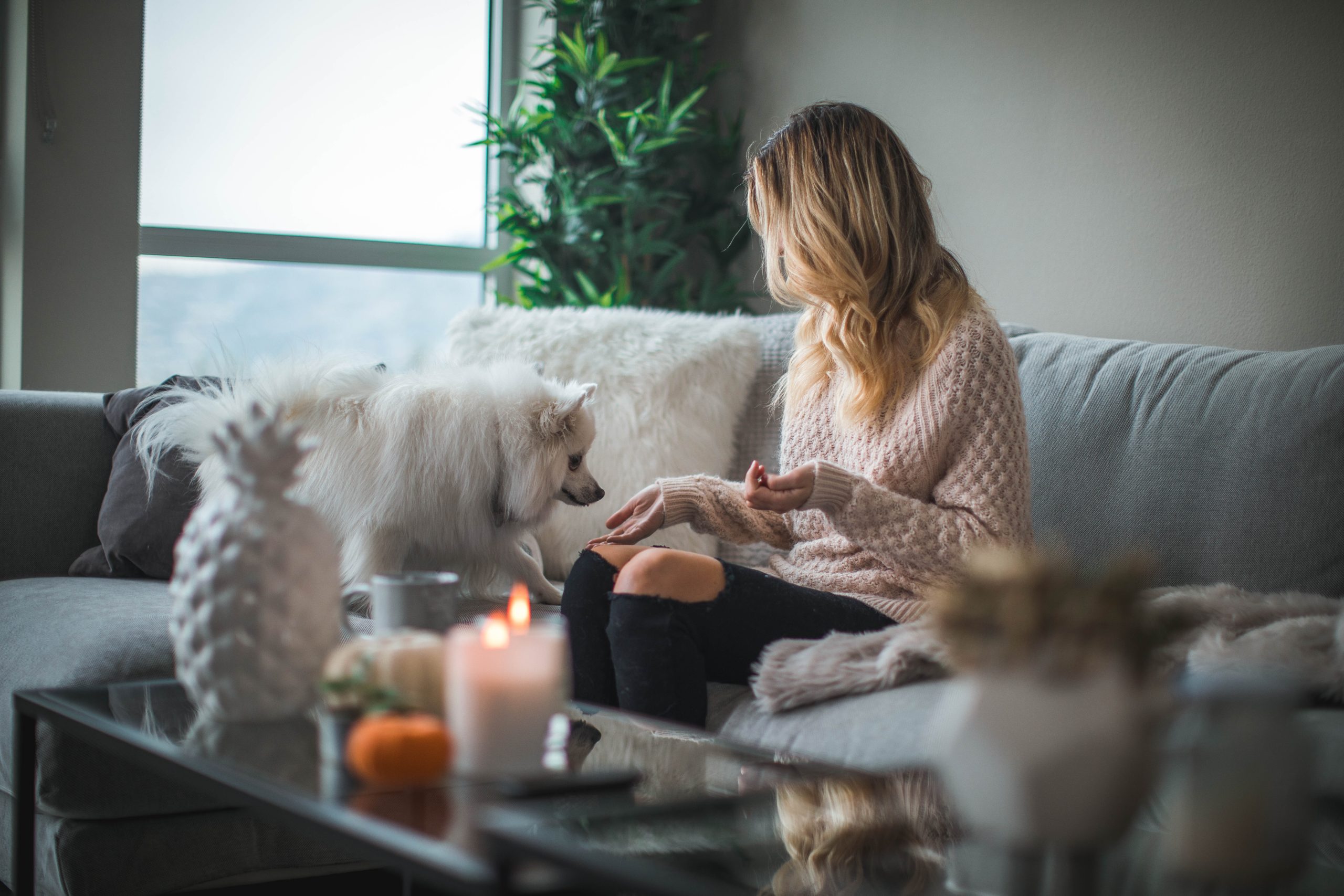 7 Emotionally Supportive Activities To Try When You're Stuck At Home