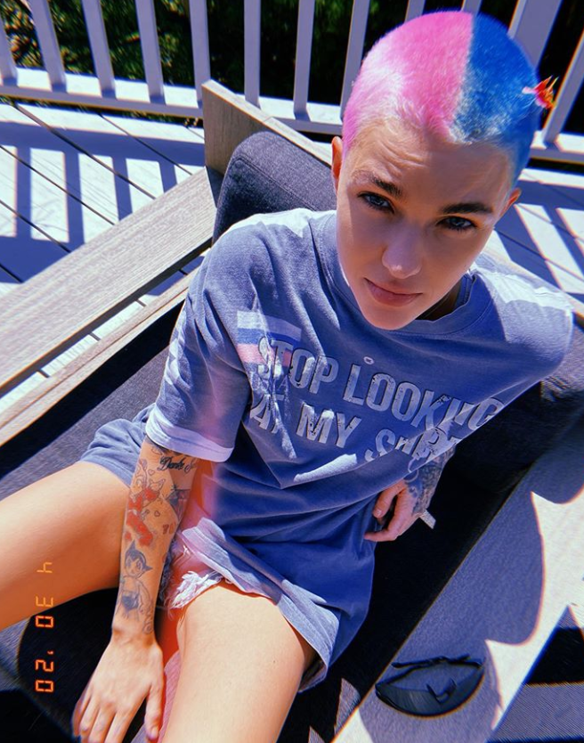 LGBTQ+ vegan celebrity