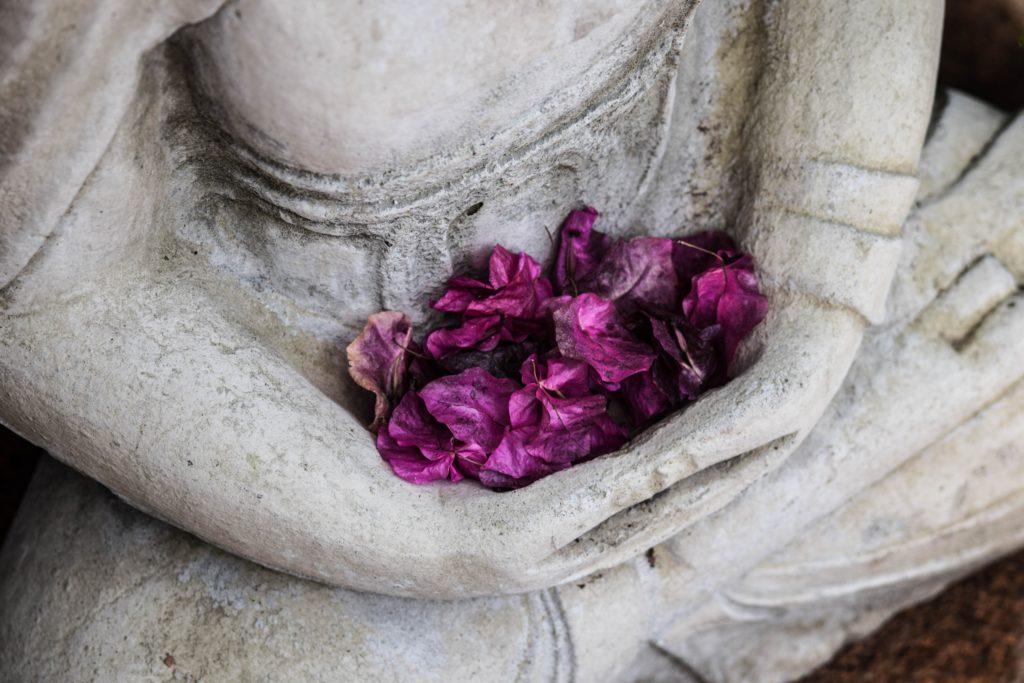 buddha flower petals