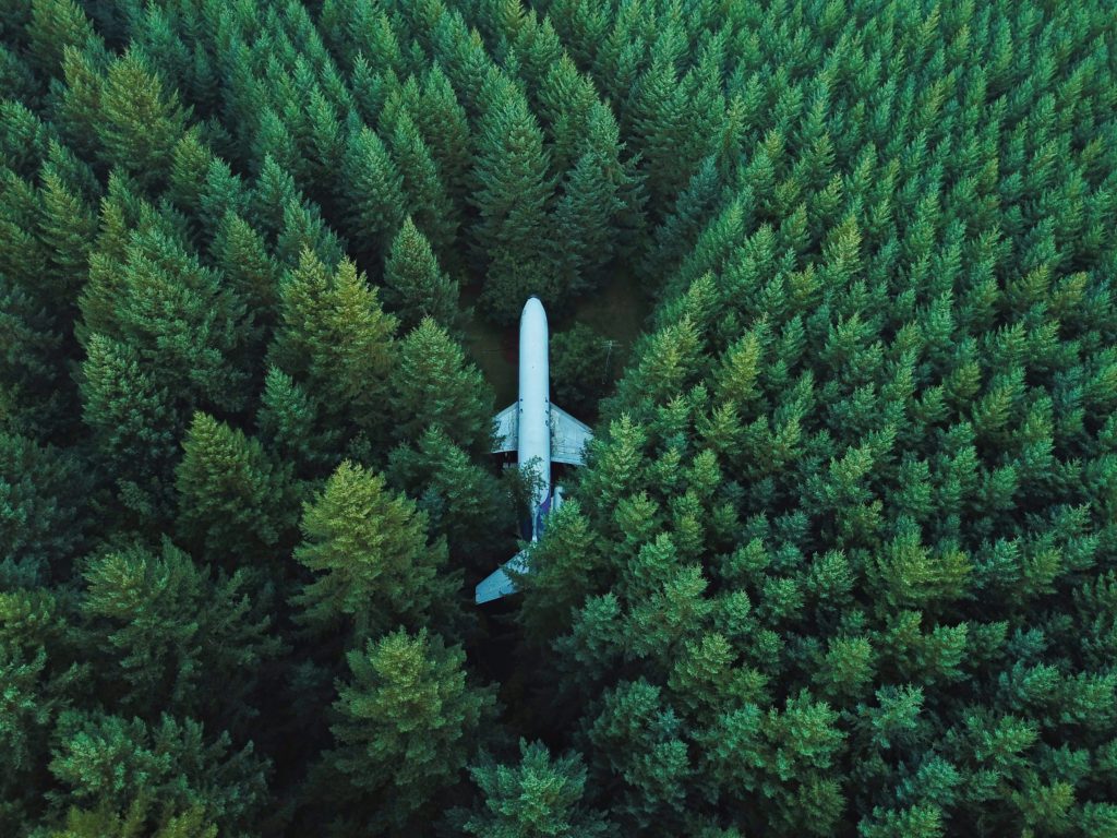 Plane in the middle of a forest