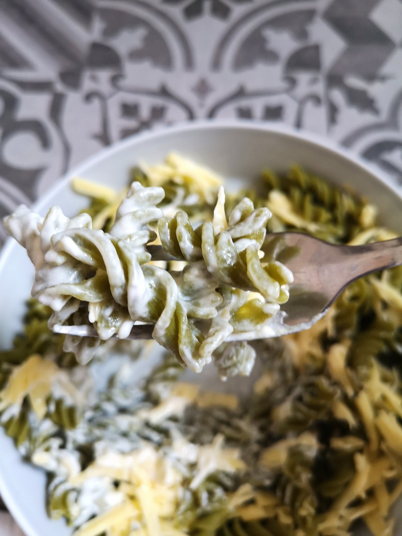 a forkful of hungarian sour cream and cheese pasta