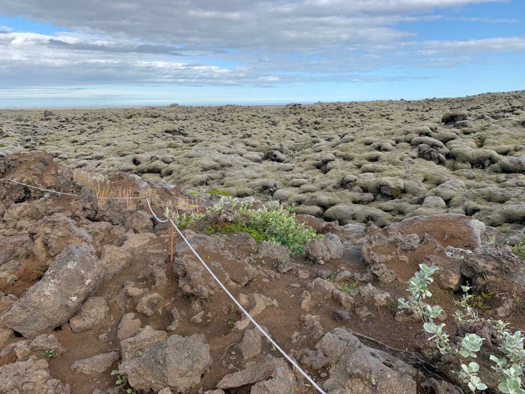 Iceland_nature_Roadtrip