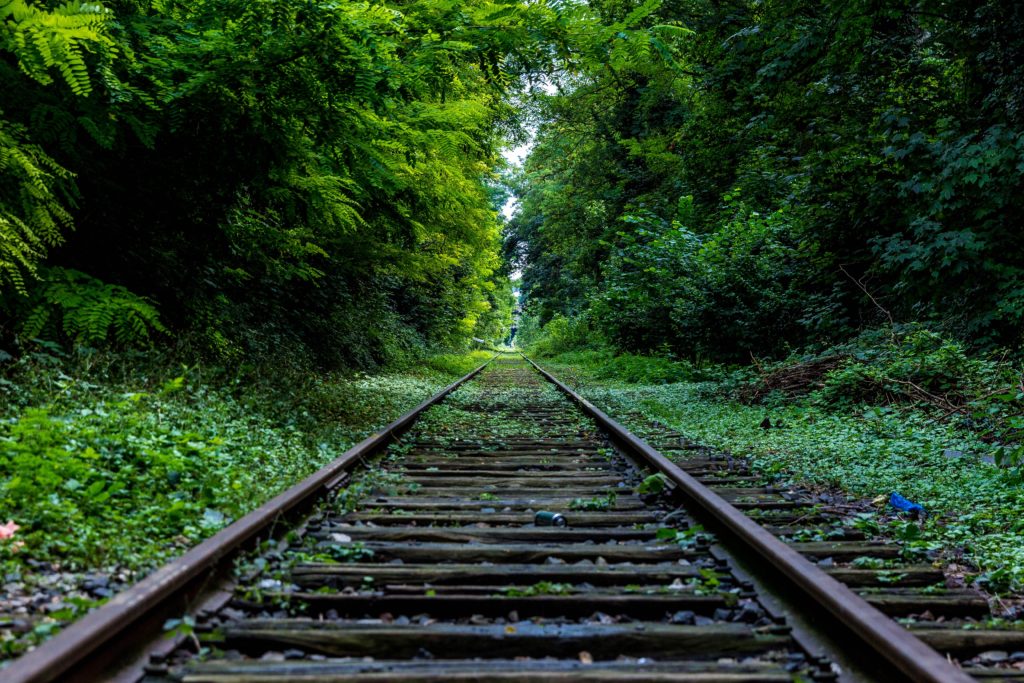Train Tracks through a Forest