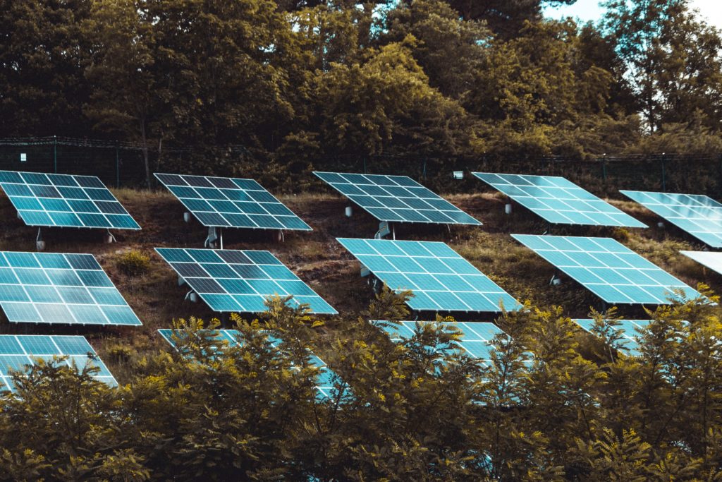 Solar panels in a field with trees in the background