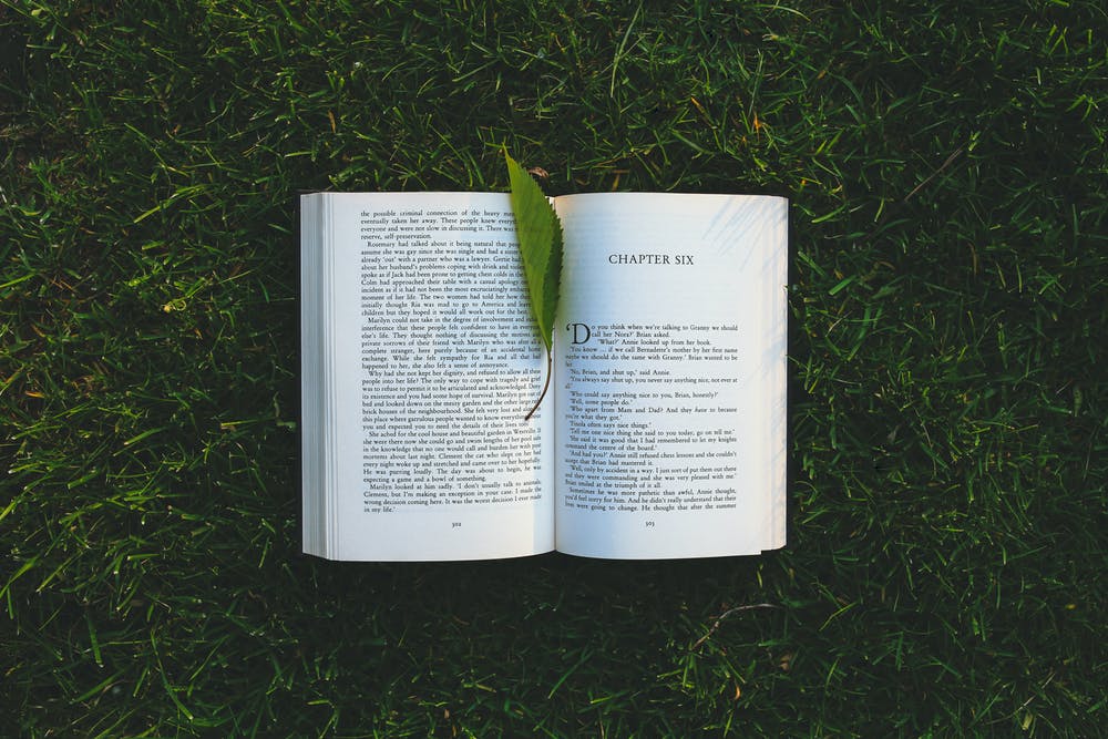 book with a leaf in the grass