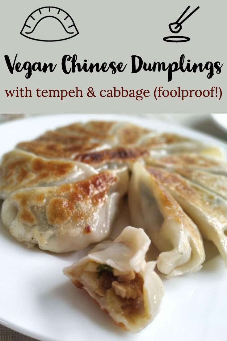 chinese dumplings with caption