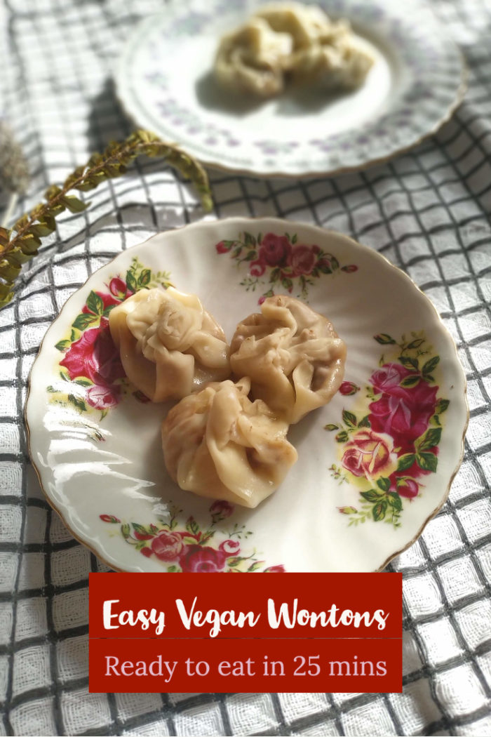 easy vegan wontons with overlayed caption