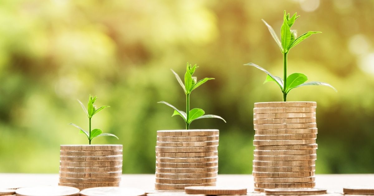 plants growing on top of stacks of coins