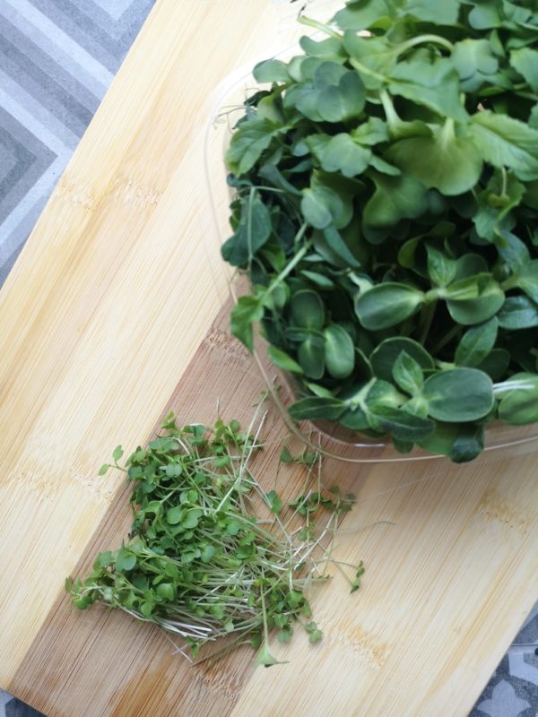 microgreens in a container and on a wooden cutting board
