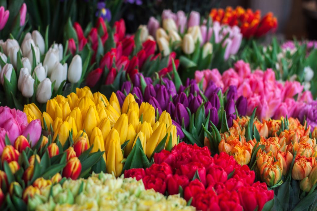 Flower bouquets at a market