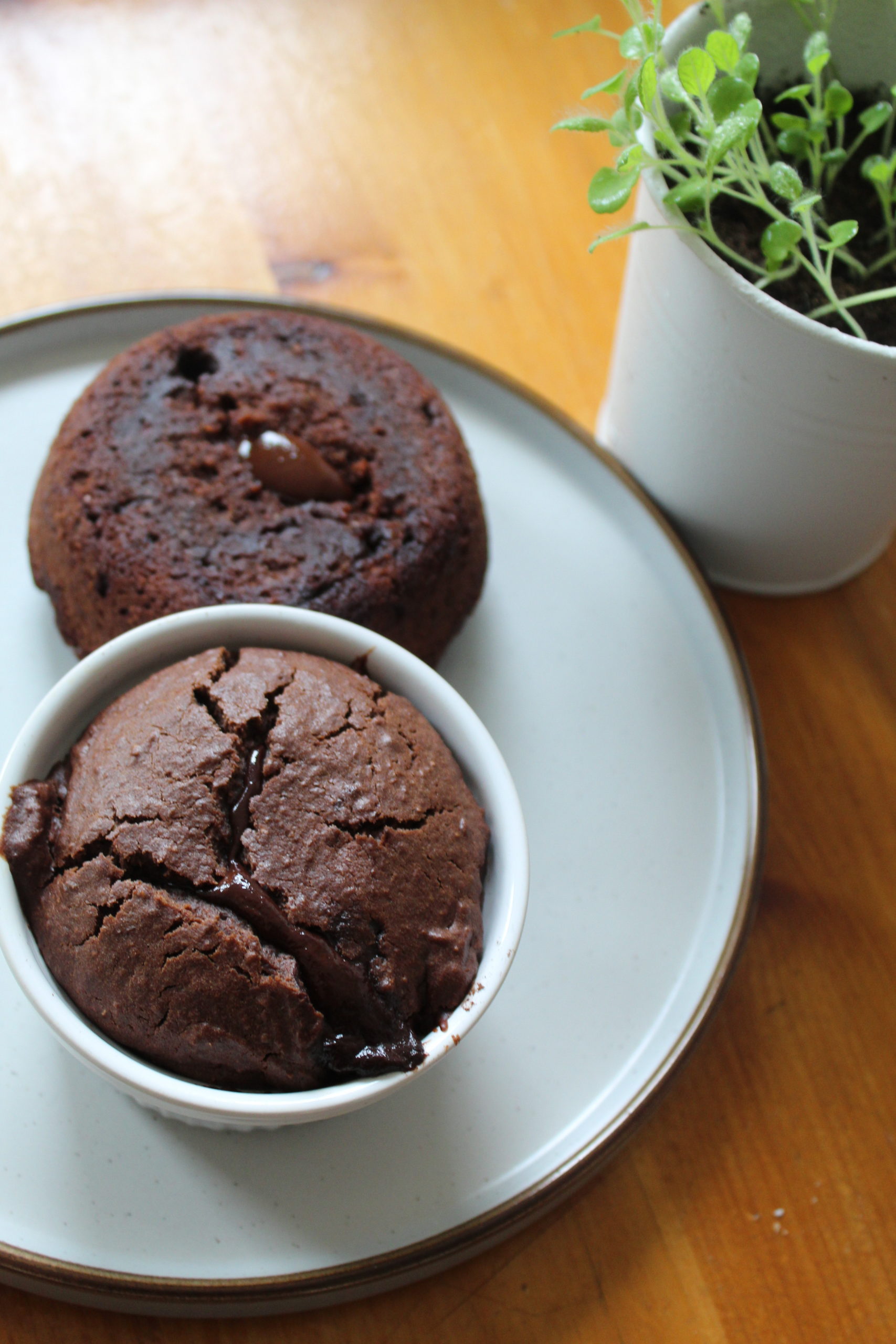 melt in the middle pudding on a white plate next to a plant