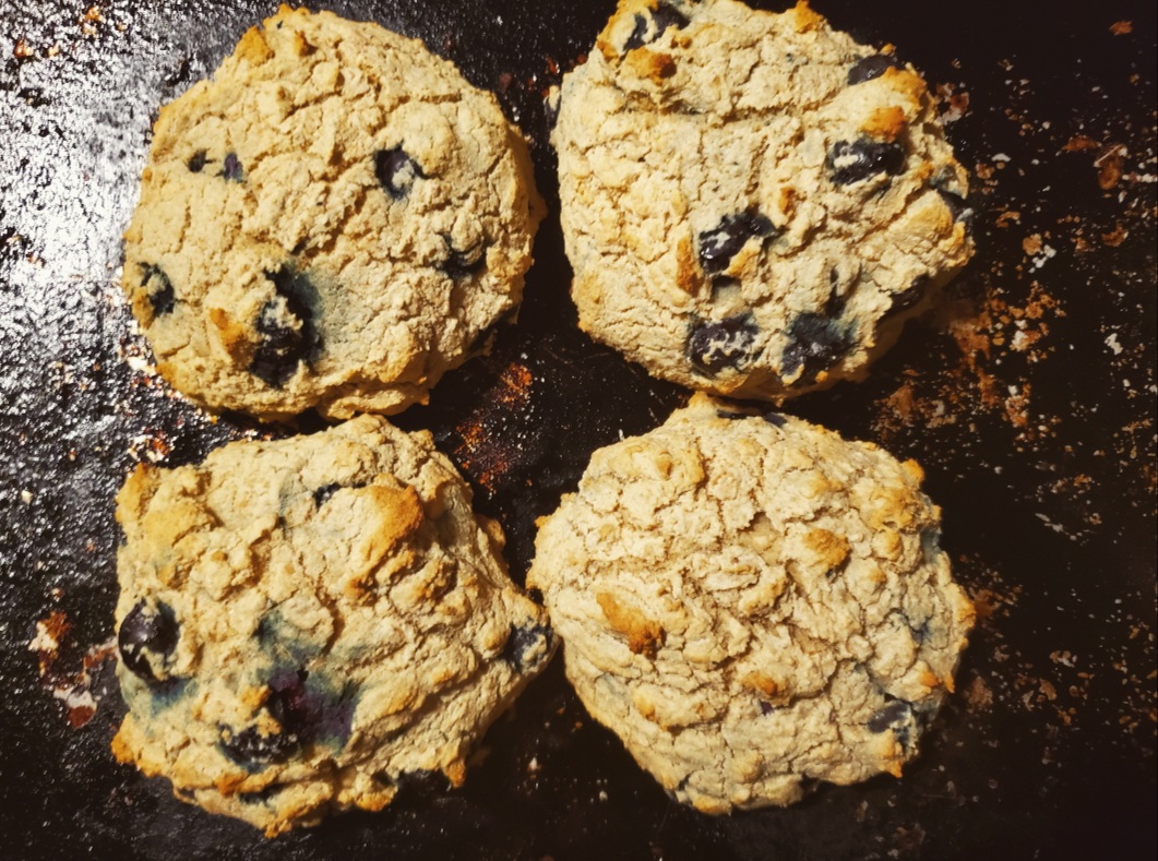 sourdough biscuits