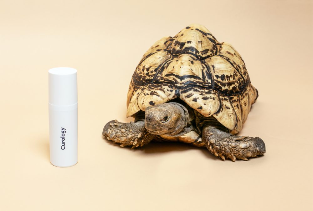 Juxtaposing animals next to products to impart an eco-friendly image.