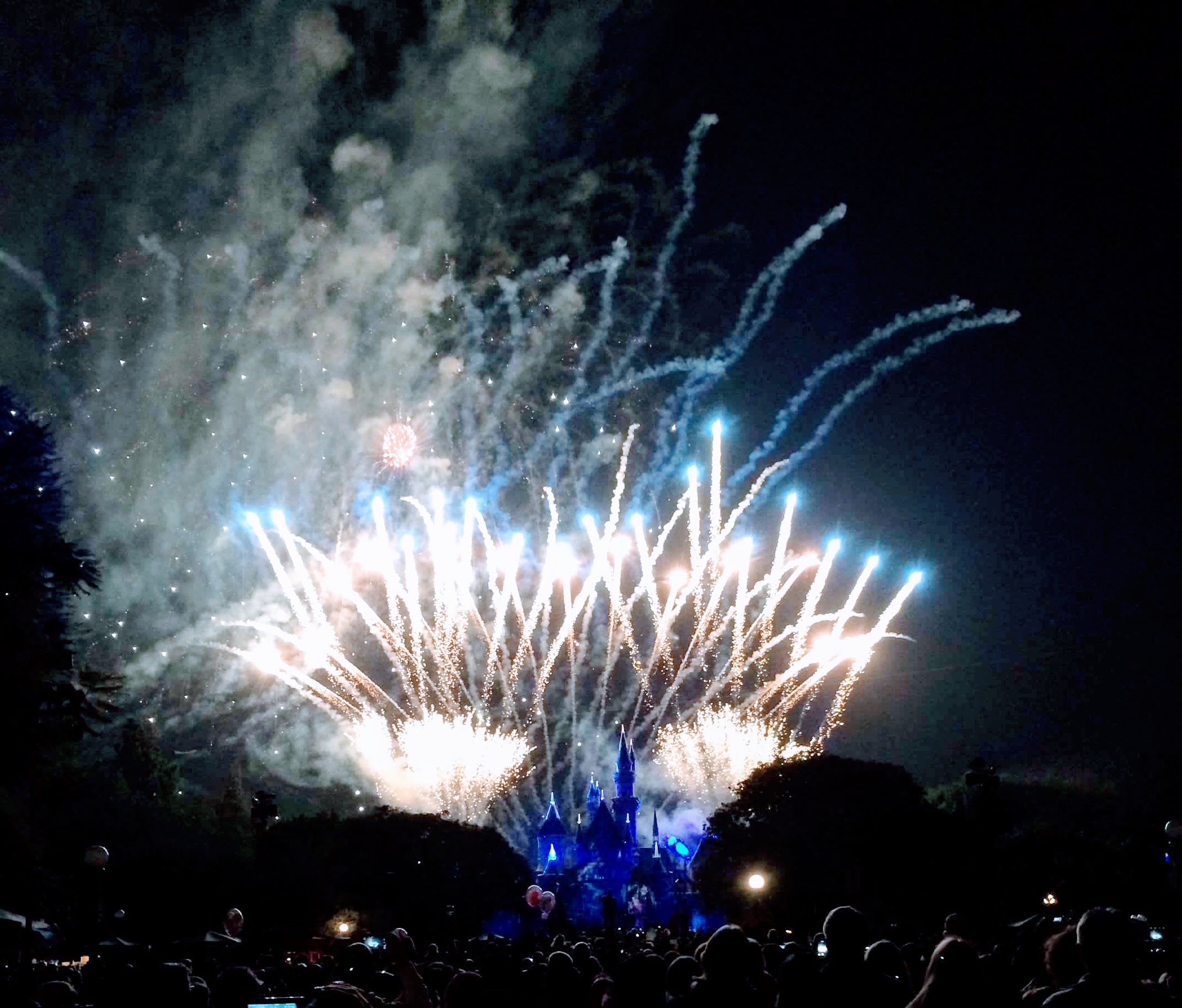 Disney_Fireworks