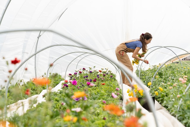 Show Gratitude by Planting a Community Garden