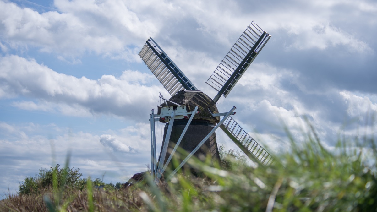 windmill in a field