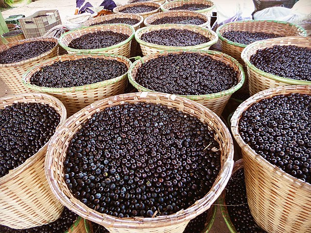 baskets brimming with açaí