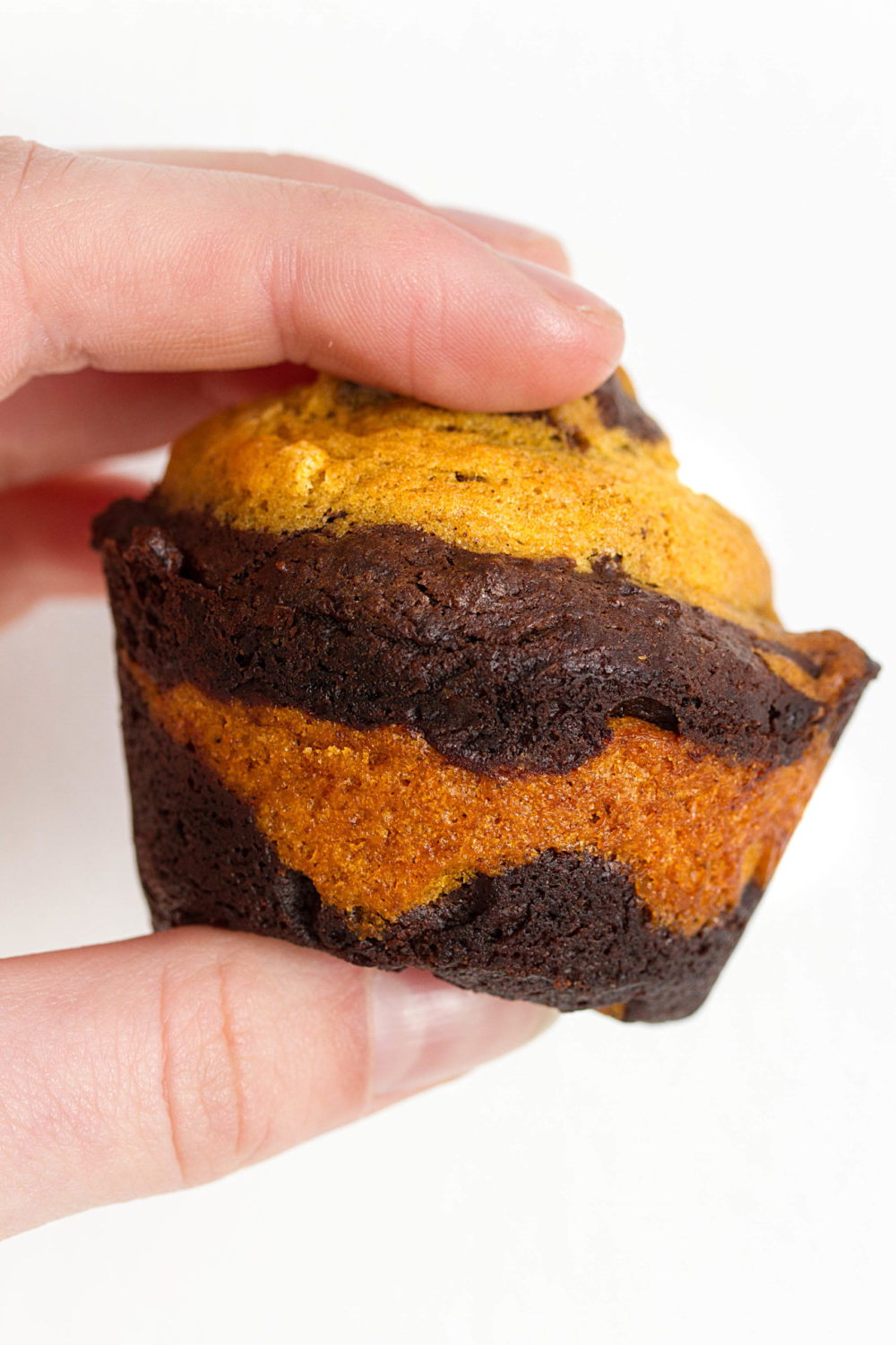 a hand holding a vegan pumpkin chocolate marble muffin against a white background