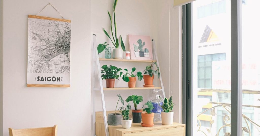 bedroom with plants on a wooden desk