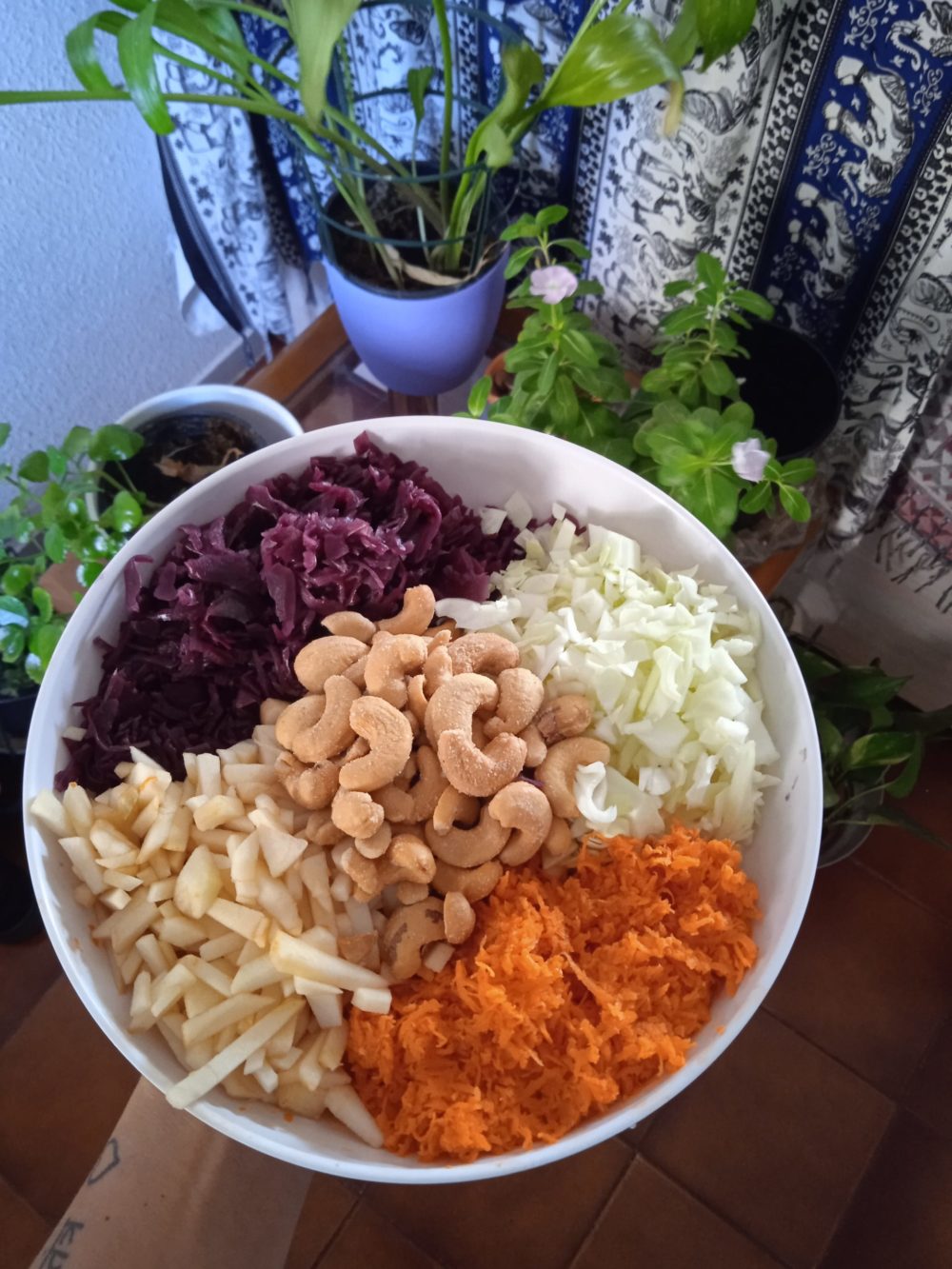 vegan bowl next to plants