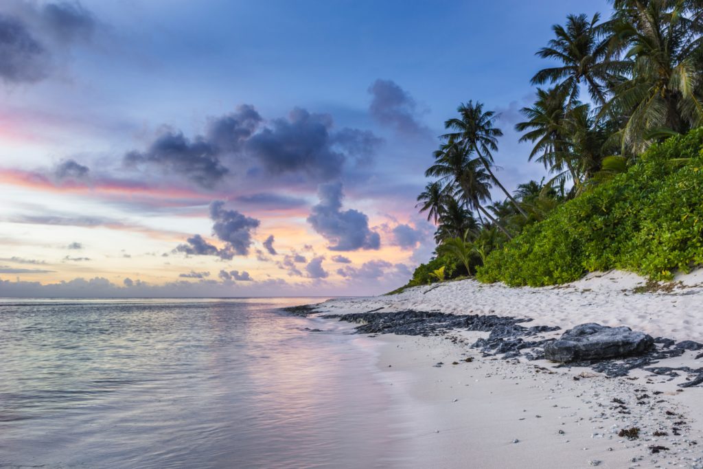 A beach at dusk, with rocks and tropical vegetation