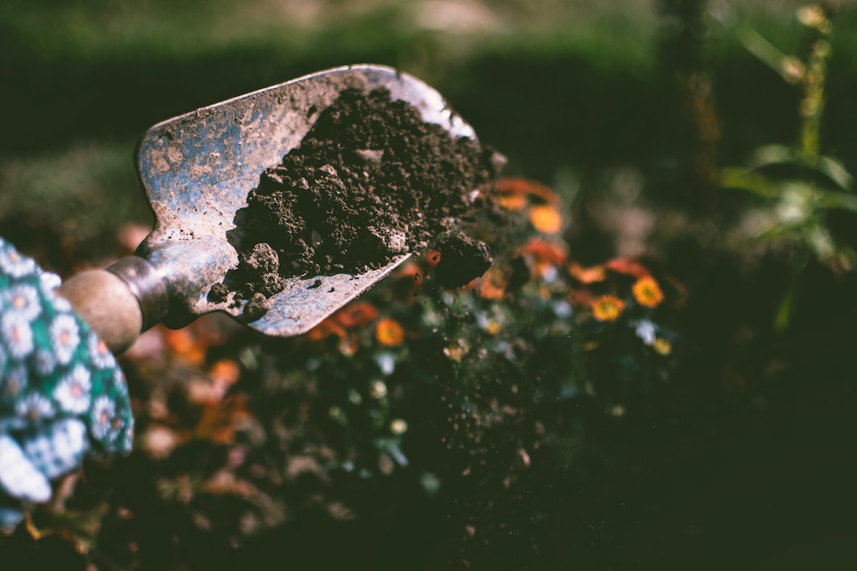 person digging in dirt with flowers in the background