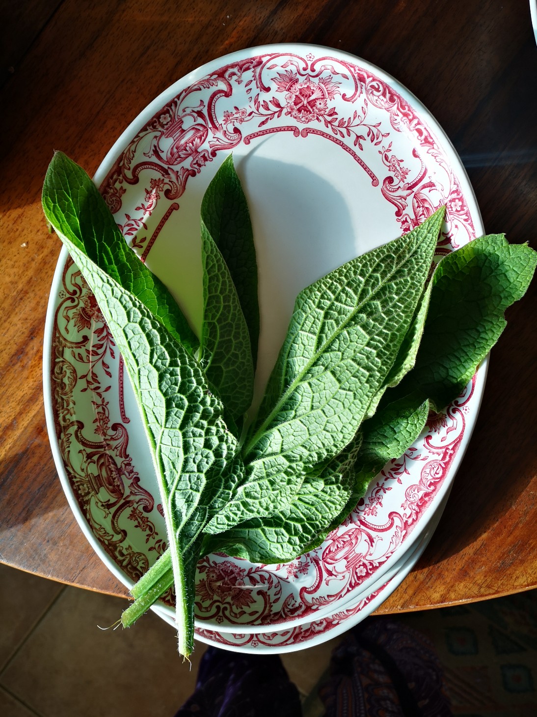 comfrey on a plate