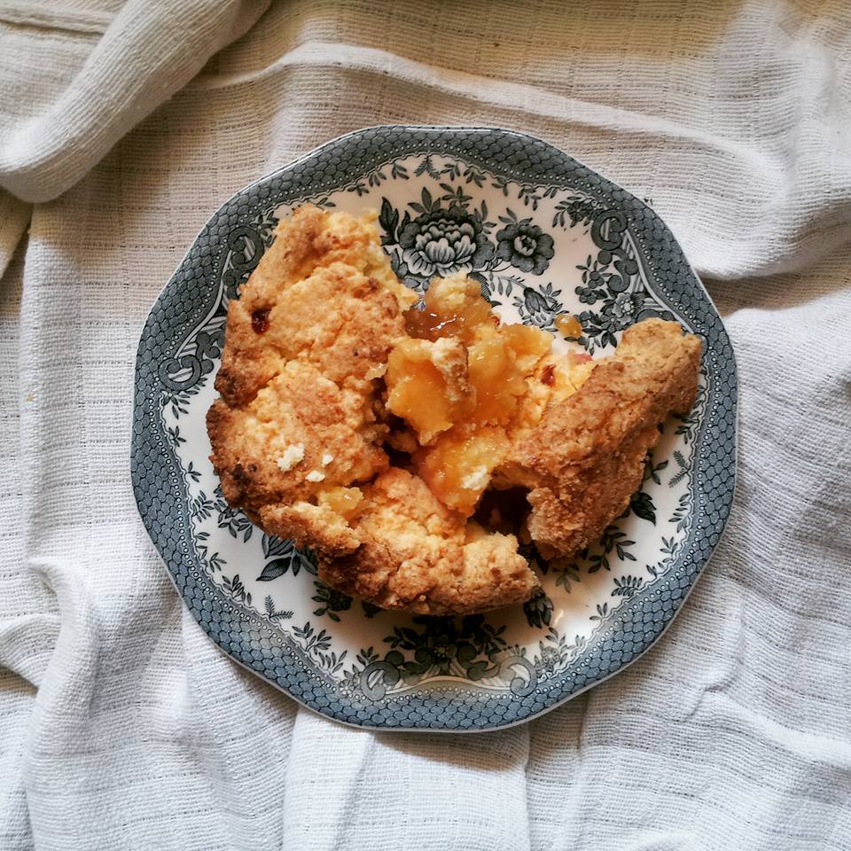 rhubarb and juniper berry pie on a blue and white plate