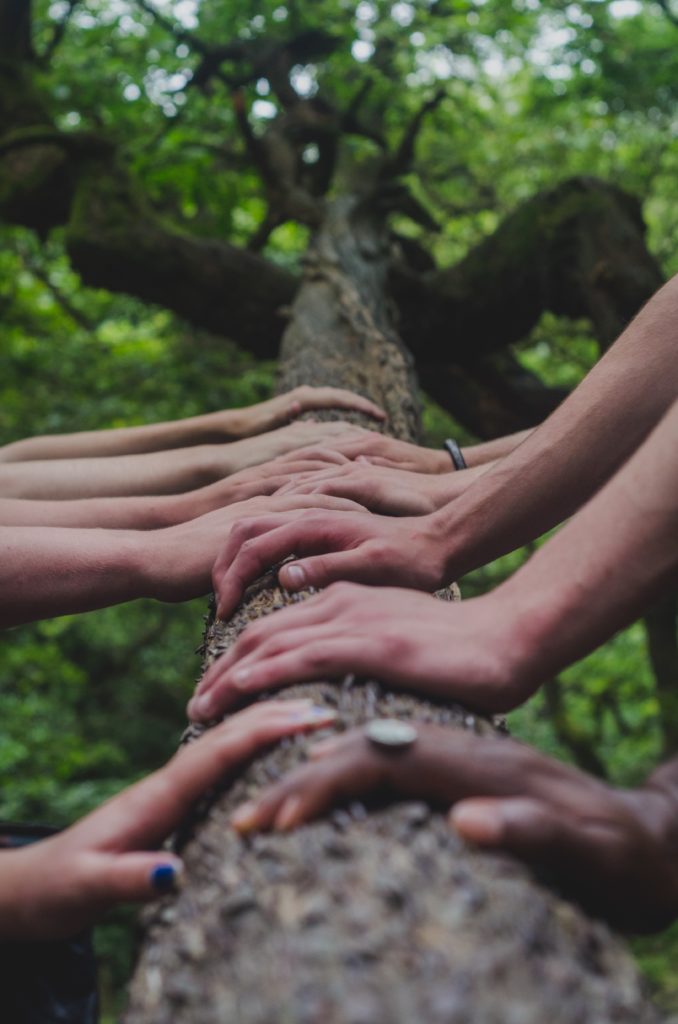 Women's hands