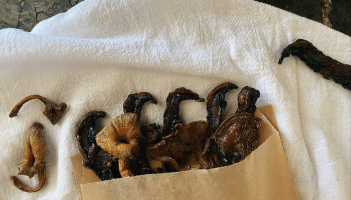 mushroom jerky in a paper bag against a white background