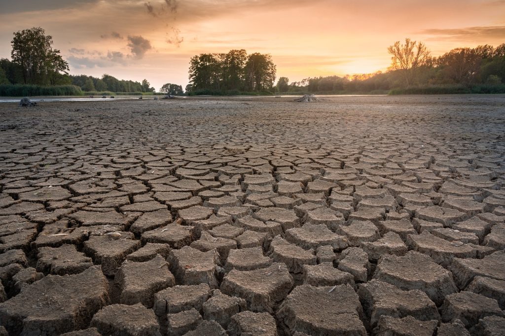Deep cracks running through the ground in a drought