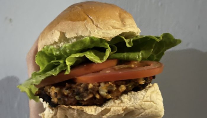 A vegan garden burger with lettuce and tomato against a white background