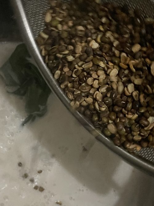 mung beans in a sifter next to a boiling pot of coconut milk mixture.