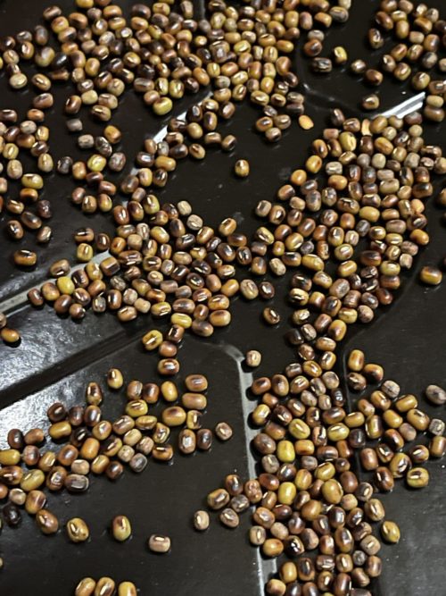 Mung beans scattered against a dark background