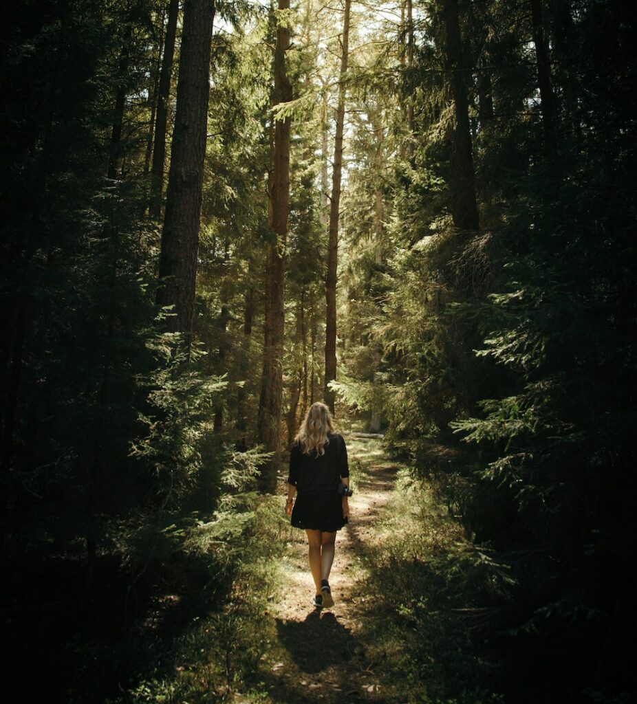 a blond woman in a black dress is walking in a forest with tall evergreen trees.